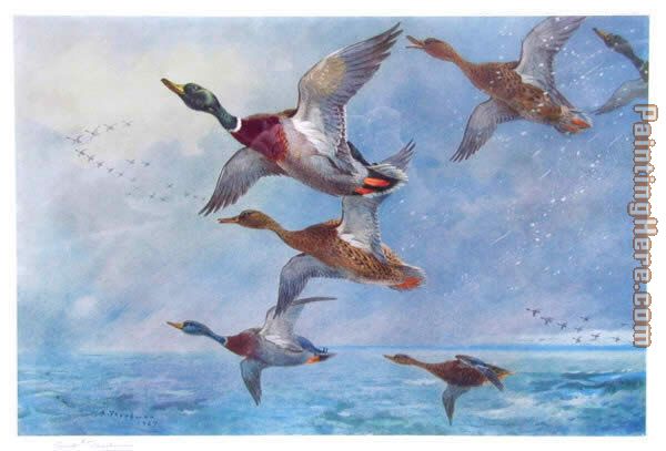 Mallard in Squally Weather painting - Archibald Thorburn Mallard in Squally Weather art painting